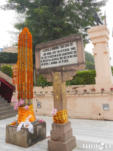 BodhGaya, India 