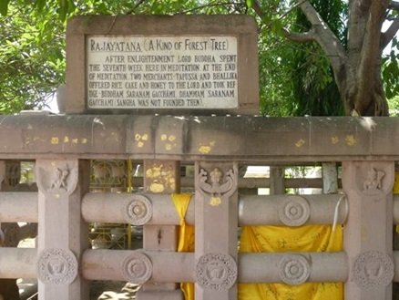BodhGaya, India 