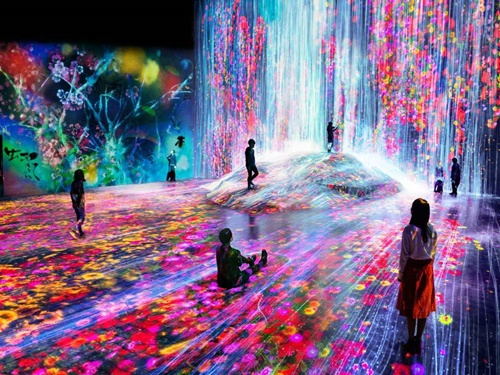 teamLab Borderless digital art museum