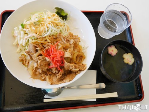 Williams, Narita – Japan