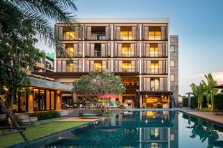 The Silver Palm