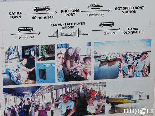 Bus between Cat Ba Island and Hanoi by Daiichi Travel [Review]