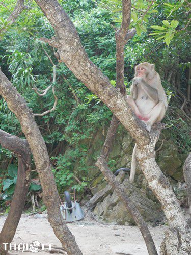 Cat Ba Island, Vietnam