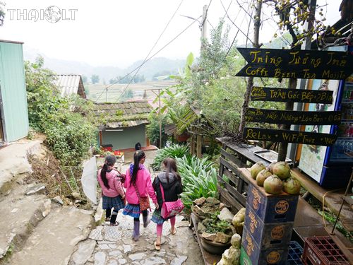 Sapa