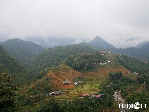 How to travel from Cat Ba Island to Sapa How to travel from Cat Ba Island to Sapa